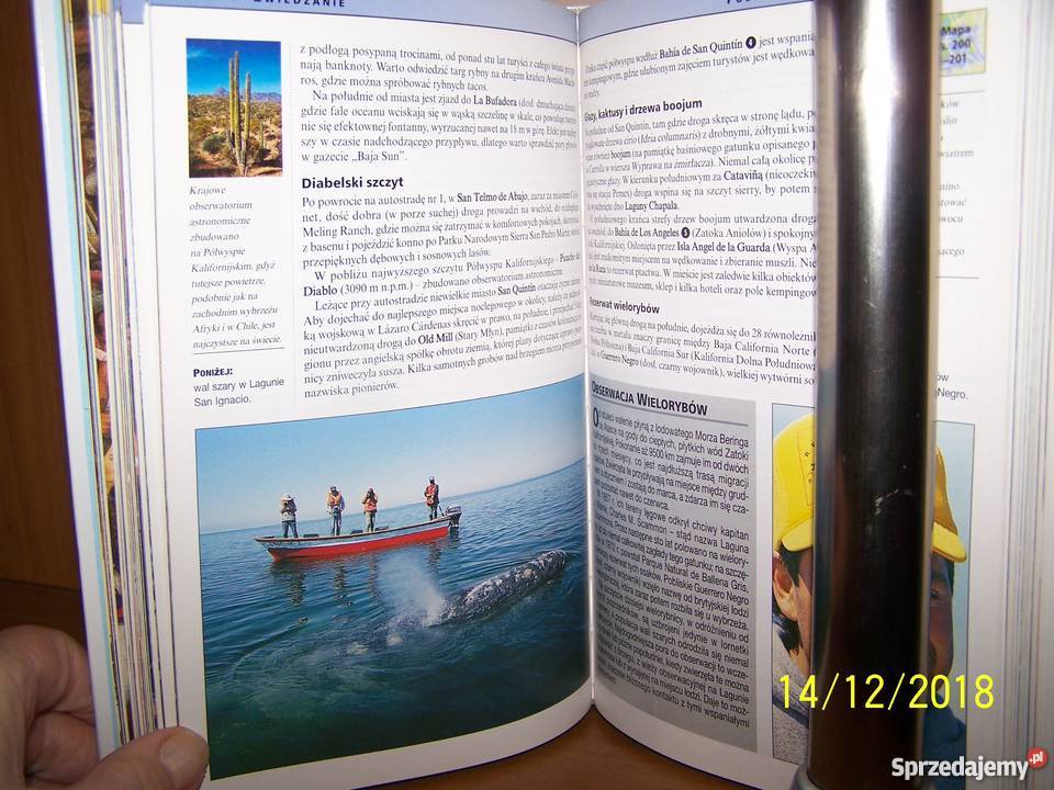 MeksykPodróże Marzeń śląskie Mysłowice