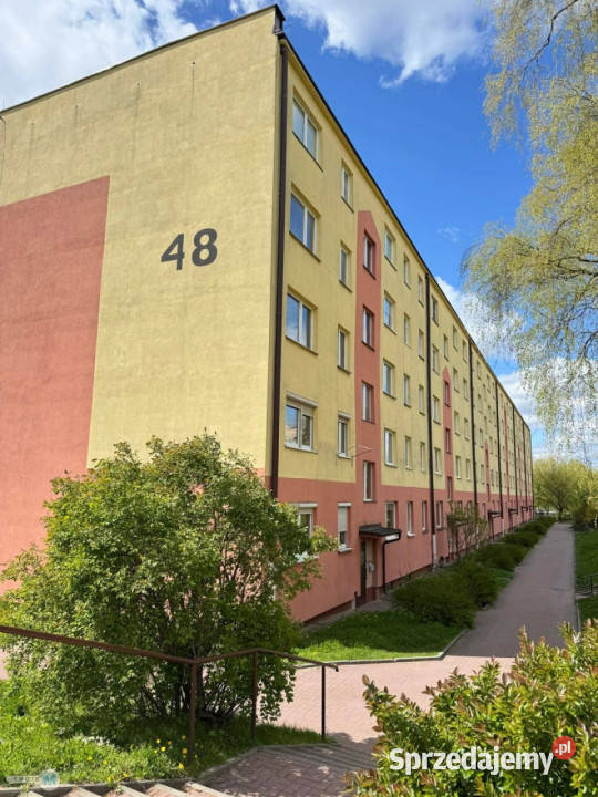 Mieszkanie na sprzedaż Kielce 48m2 3 pokoje Sprzedaż sprzedam