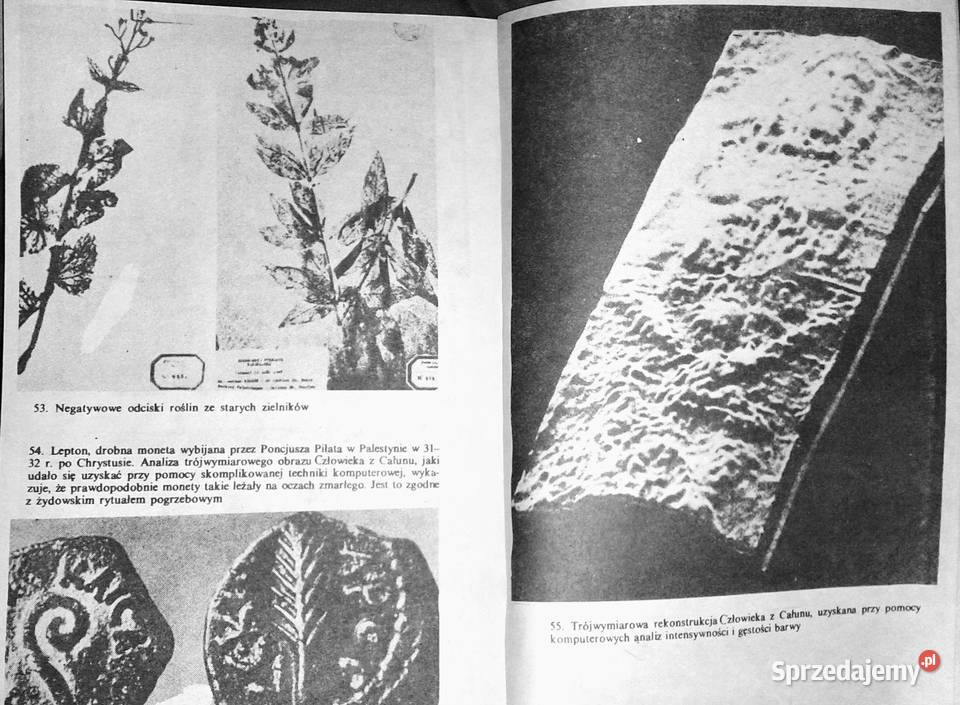 Całun Turyński Ian Wilson Pozostałe lubelskie Chełm sprzedam