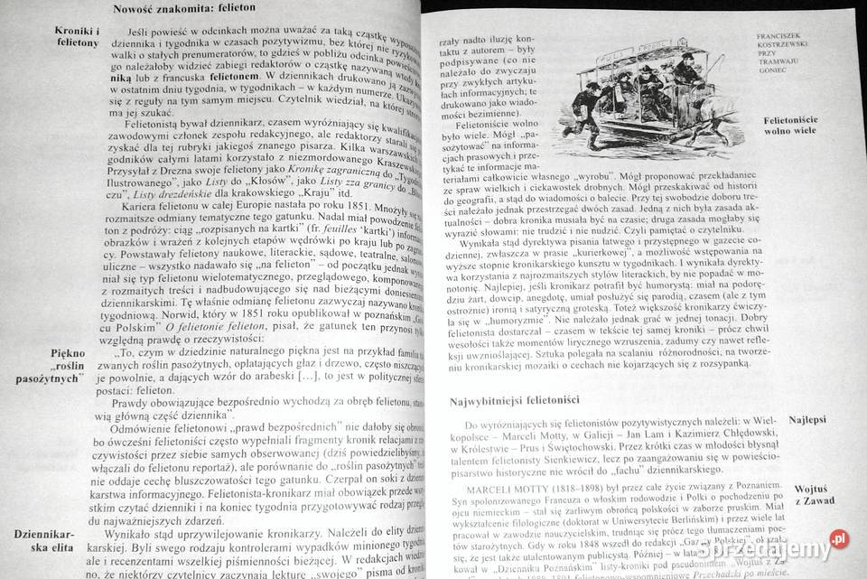 Pozytywizm Podręcznik szkół ponadpodstawowych Pozostałe