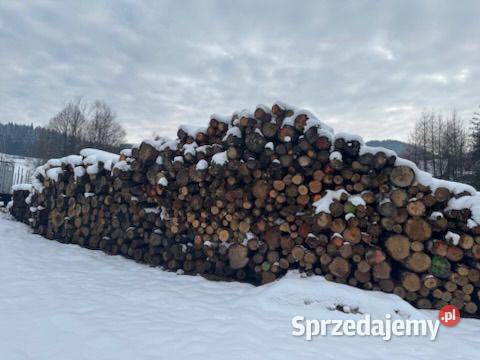 Dąb Tarcica kłoda dębowa Olszówka