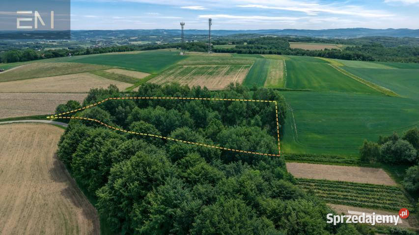 sprzedaży gruntu 4600m2 Szufnarowa Sprzedaż podkarpackie sprzedam