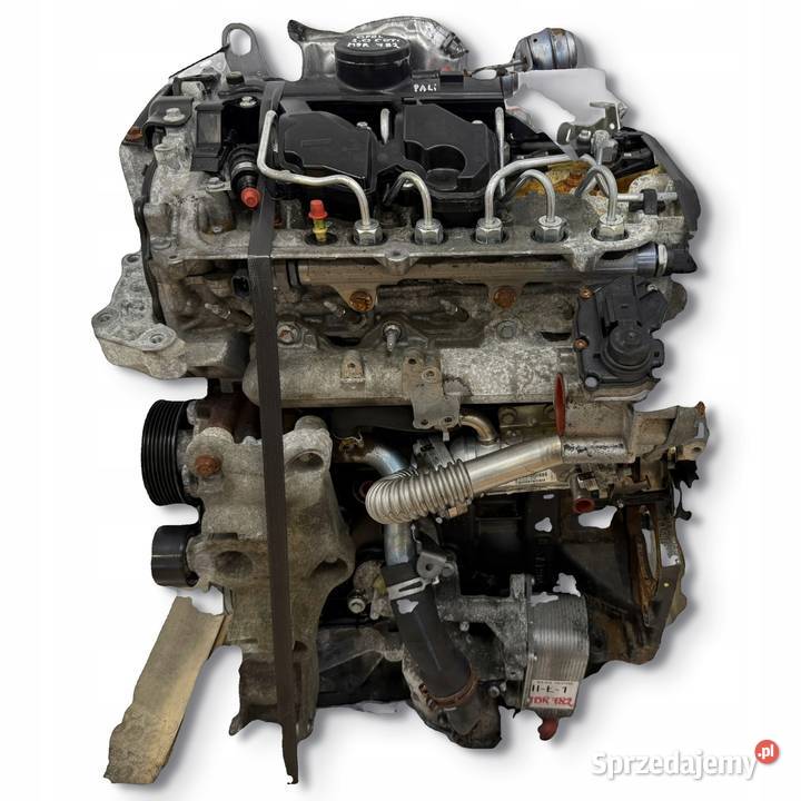 SILNIK M9R782 Renault Trafic Nissan Primastar sprzedam
