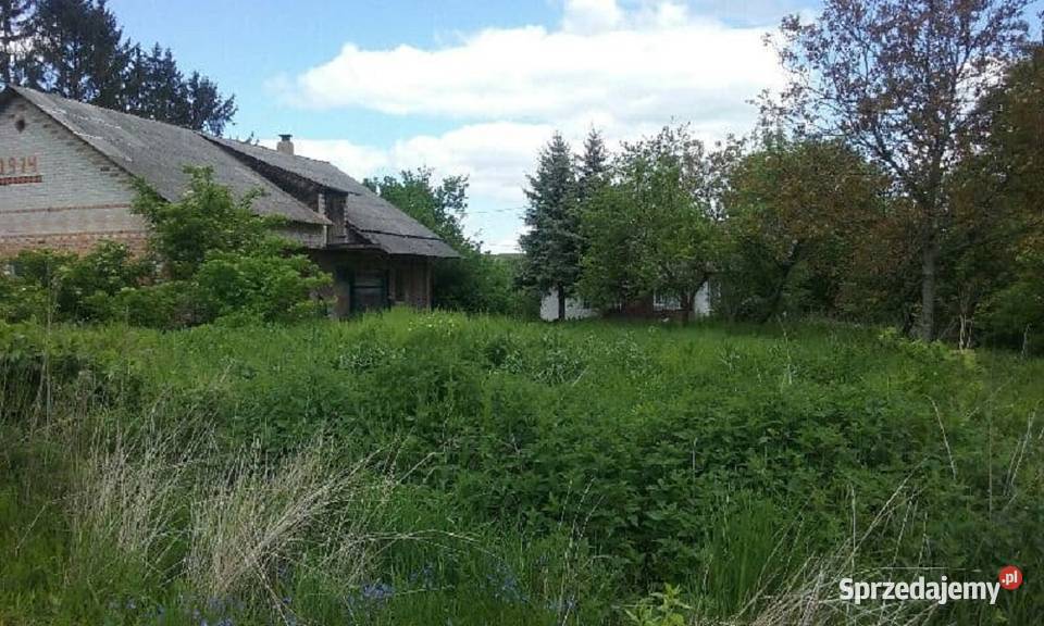 Siedlisko w cichej spokojnej okolicy Nieruchomości lubelskie sprzedam