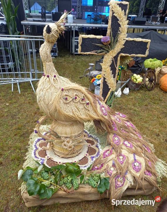 Wieniec Dożynkowy Paw lubuskie Gorzów Wielkopolski