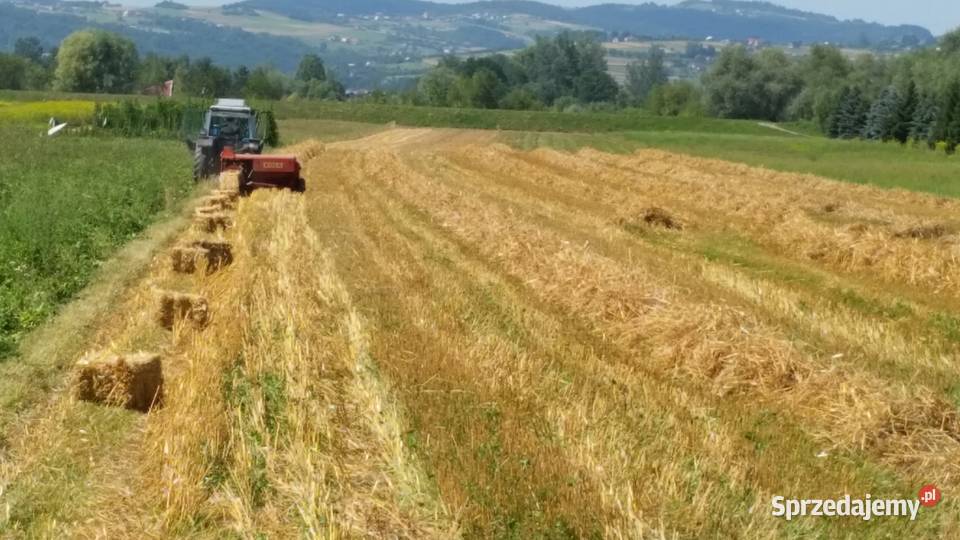 Słoma kostka 2025 małopolskie Nowy Sącz