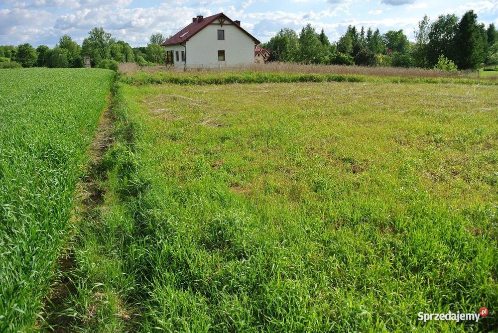 Działka Pierwoszów 1 690 m Pierwoszów