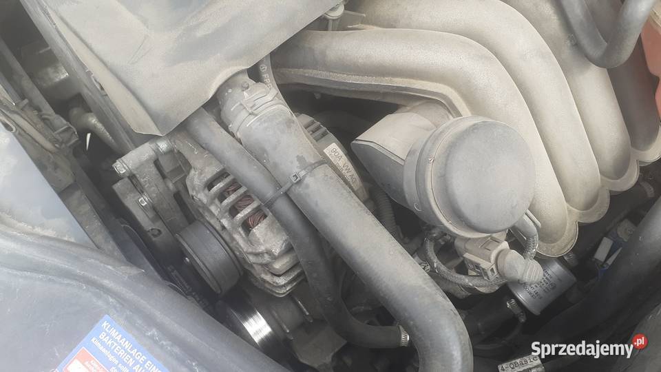 Volkswagen Passat b5 2003 r w oryginale hak Piotrawin-Kolonia