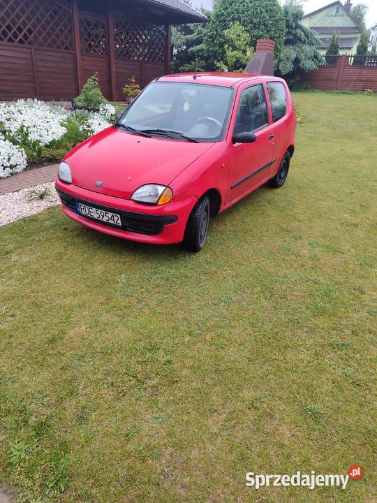 Fiat Seicento podkarpackie Dębica