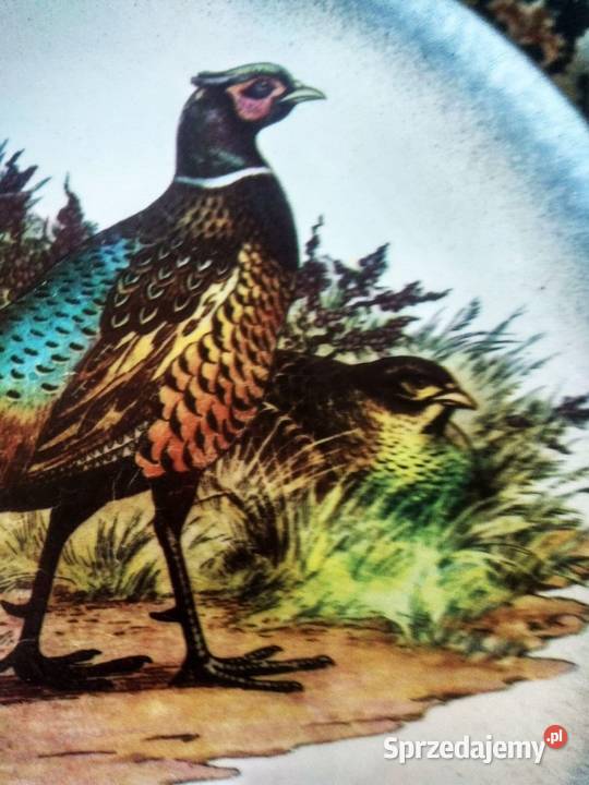 Przepiękna Patera z ptakami ARM Made in Italy pomorskie Gdańsk sprzedam