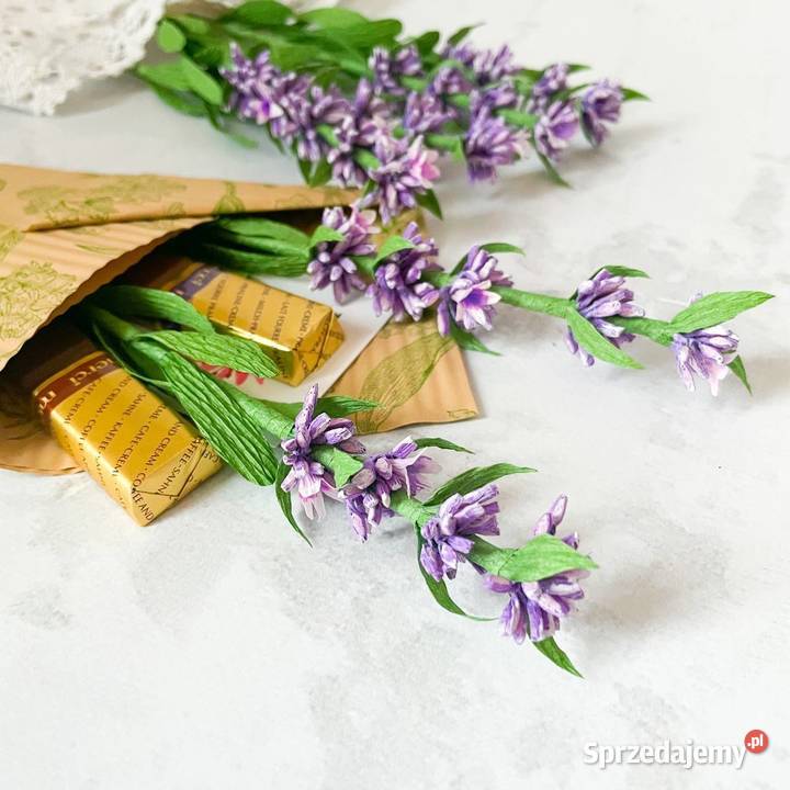 Lawenda z krepiny włoskiej Zielona Góra sprzedam