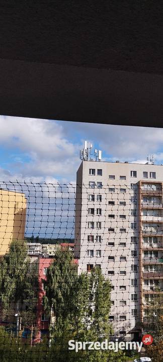 Wynajmę mieszkanie winda Zabrze sprzedam