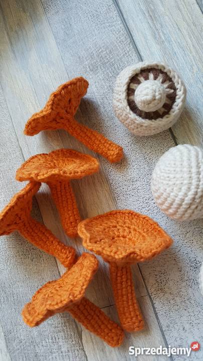 Zabawa w kuchnię grzyby ręcznie robione Edukacyjne Warszawa