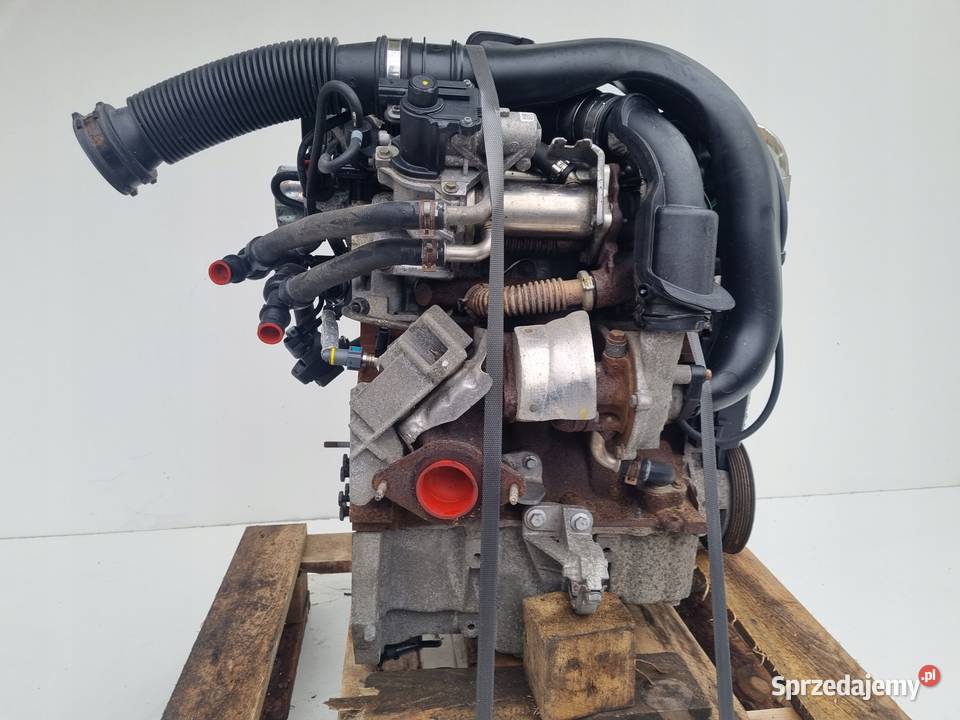 SILNIK KOMPLET Renault Scenic III 15 DCI 90 Rudka