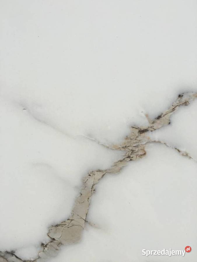 Terakota marmur poler 60x60 made in Spain Reguły sprzedam