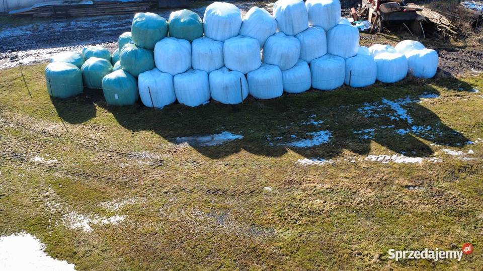 Sianokiszonka 2025 Więcbork