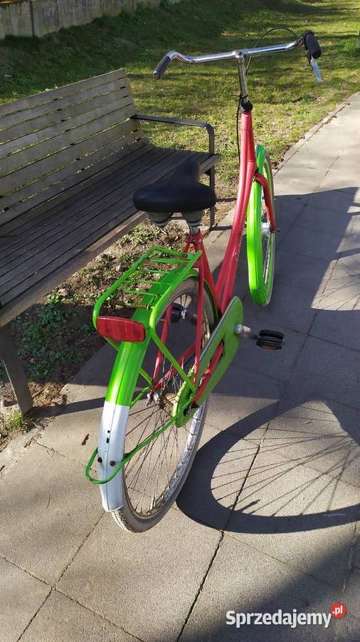 Fajna oldschoolowa damka holenderska PERFORMANCE Kraków