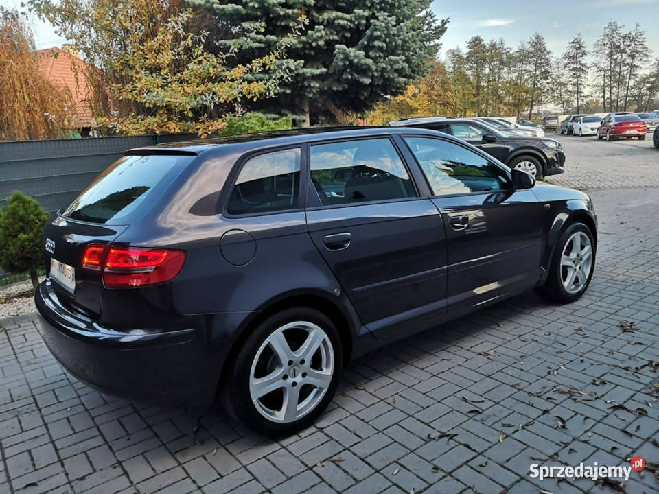 Audi A3 20FSI 150 Klimatronic Elektryka Isofix Rok produkcji 2004 Audi Strzegom