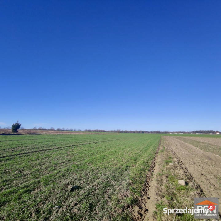 Działka 4752m2 Strzeżewko