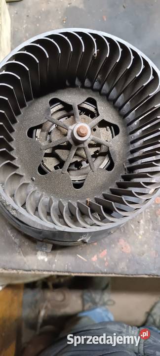 Skoda Octavia Kraków