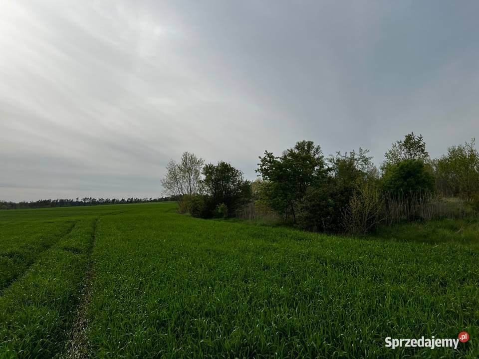 Działka drodze asfaltowej