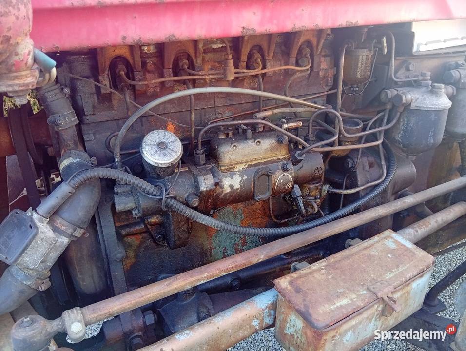 Massey Ferguson FX 35 diesel 4 cylindrowy Wojsławice