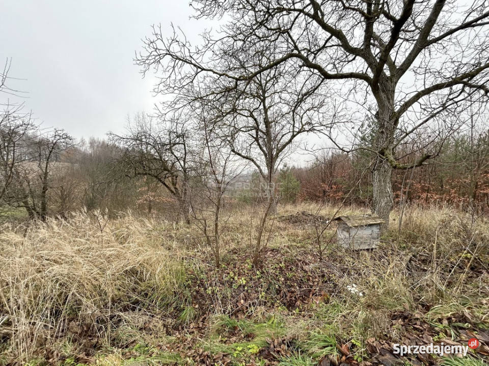 Działki rolneTymin asfalt sprzedam