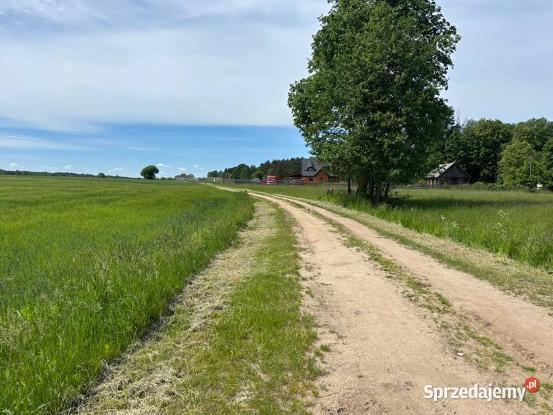 Siedlisko pod lasem 481 ha Puszcza Biała Stara Stara Pecyna