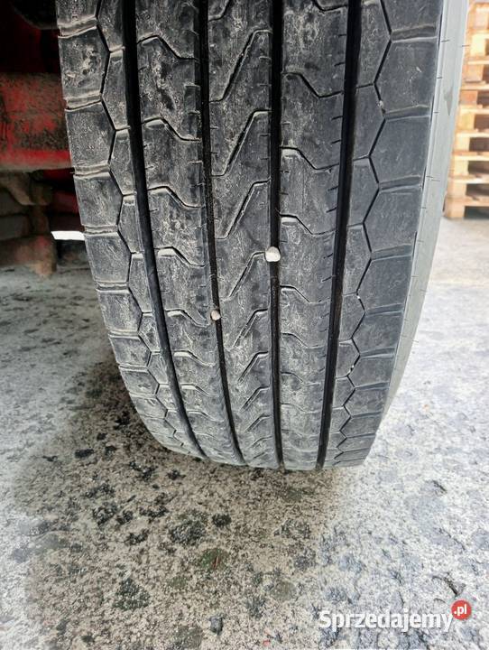 Scania P310 Scania P310 370 tachograf 24 palety Chłodnie Krynica-Zdrój