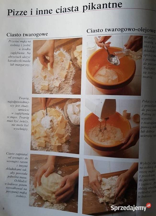 PIZZE I TOSTY Vademecum smakosza książka