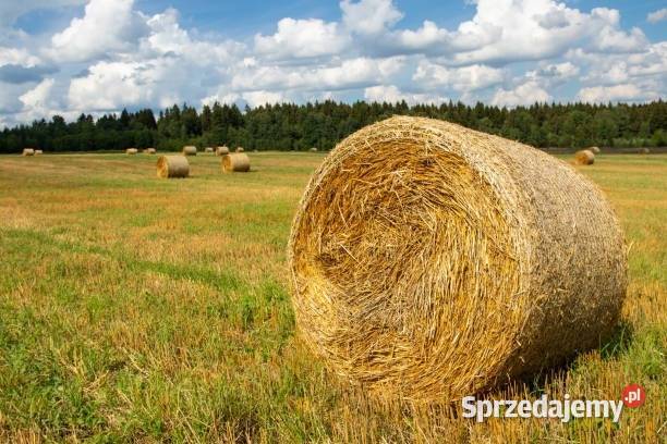 siano w belach 2024 podkarpackie Ruda Różaniecka