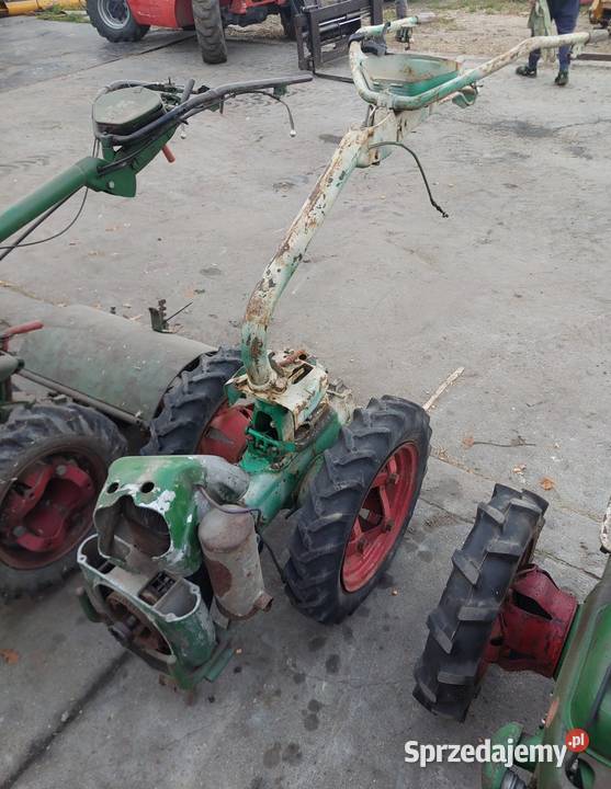 Glegogryzarki Agria pakiet 5 Pozostałe