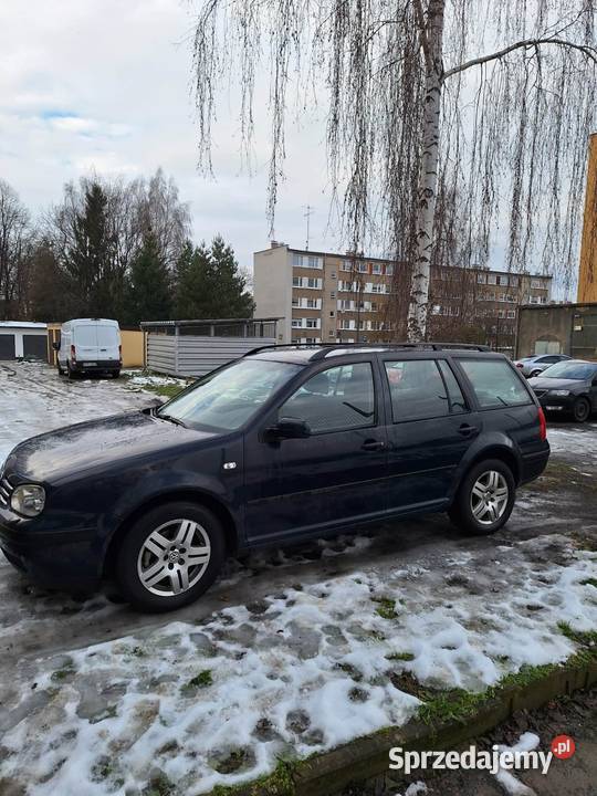 Golf IV Prudnik