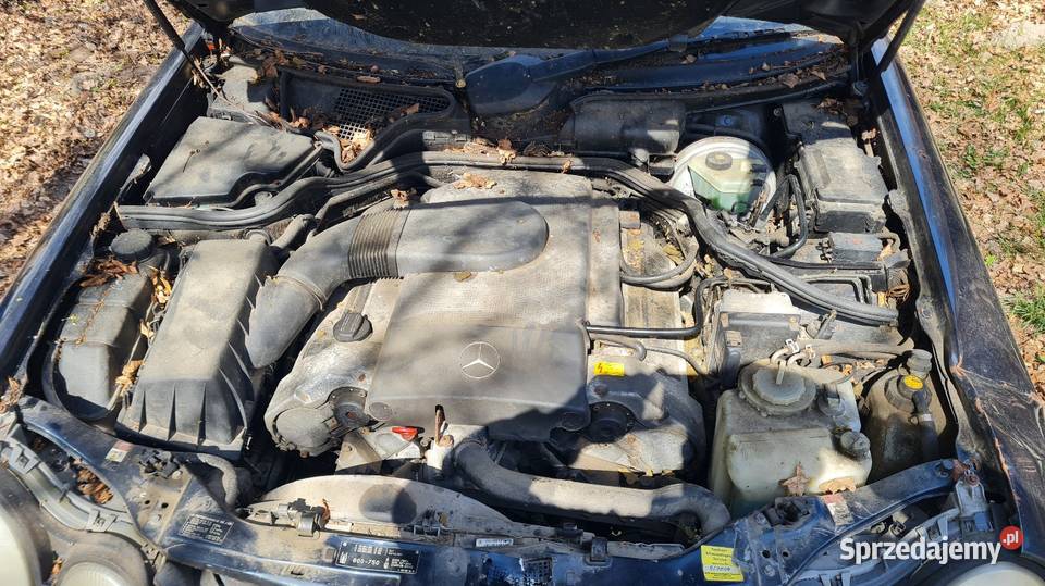 Mercedes w210 42 V8 Części montażowe Kluczbork sprzedam