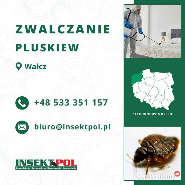 Zwalczanie pluskiew Wałcz Odpluskwianie Pozostałe usługi