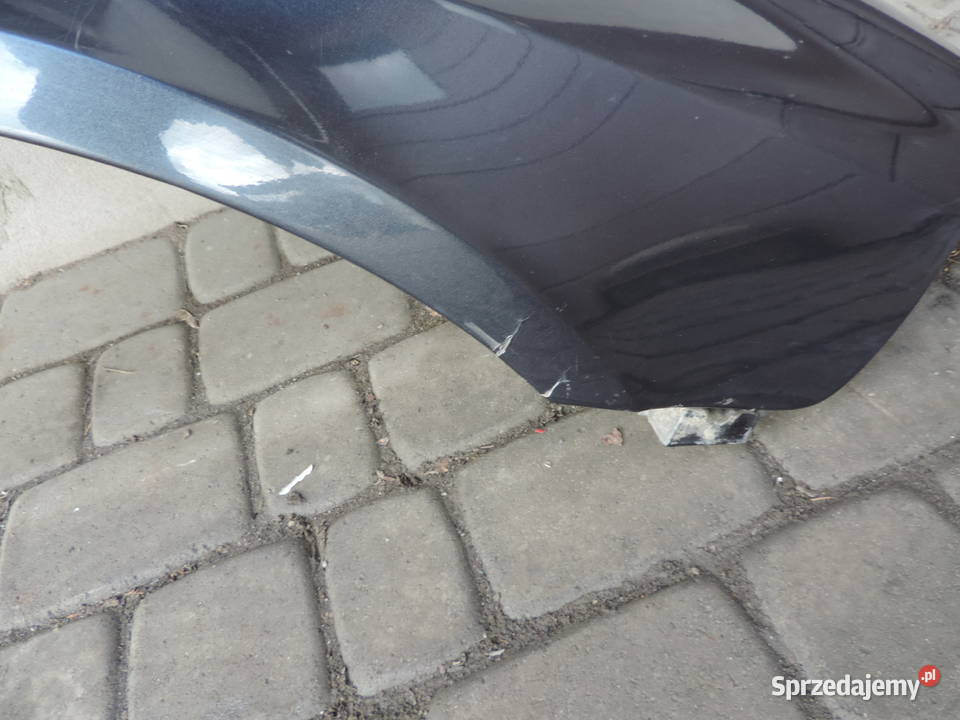 RENO LAGUNA 2 II BŁOTNIK PRAWY PRZEDNI TEB66 Rok produkcji 2002 Nowy Sącz