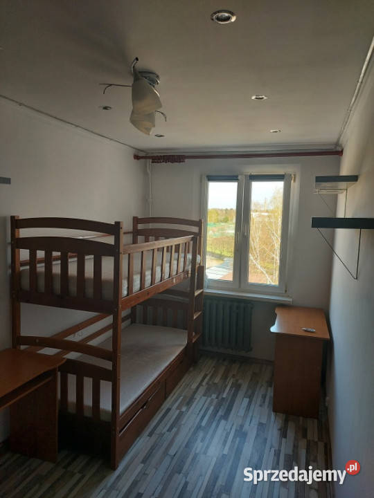 Mieszkanie dwupokojowe 4459 m2 Mieszkania Chełm