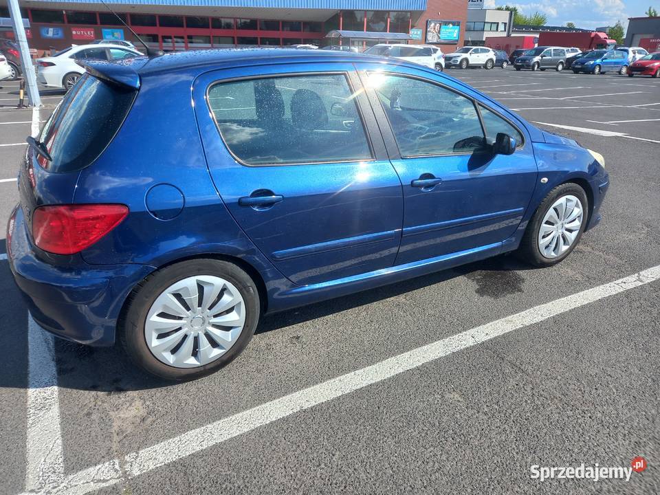 Peugeot 307 2007 Sieradz