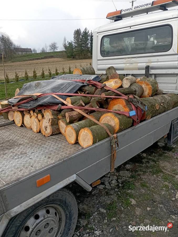 Drzewo opałowe śliwa wiśnia