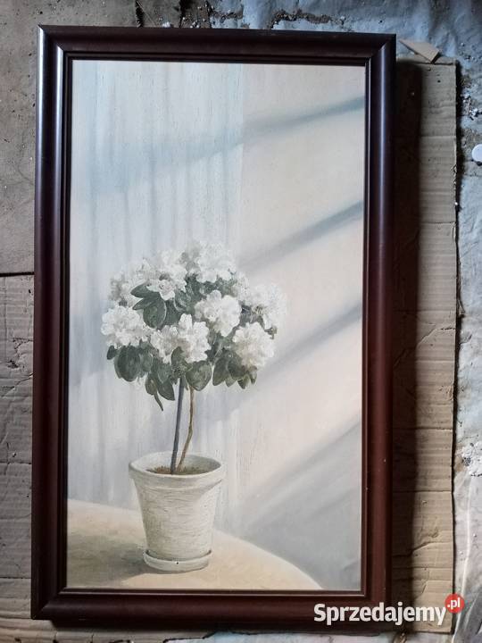Obraz olejny 40x70 Azalia w donicy Przeworsk