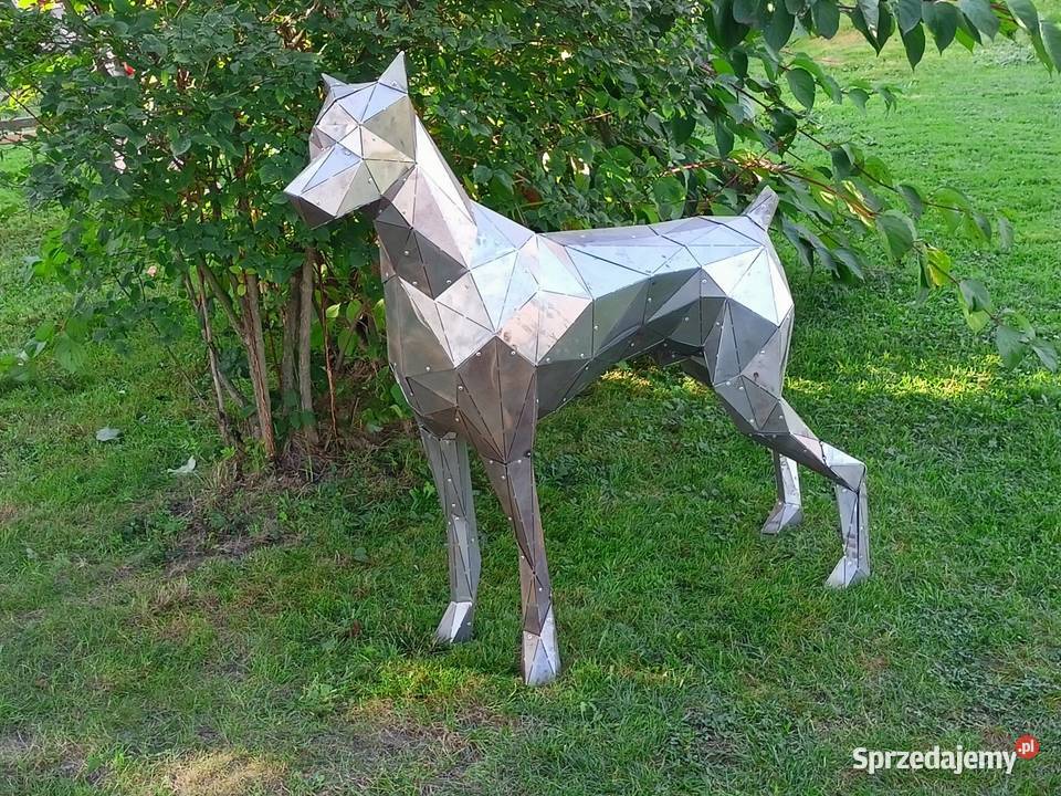 Doberman 3d Wiercany sprzedam