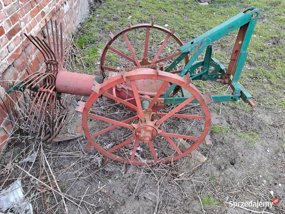 Kopaczka konna sprawna Piękna ozdobą do ogrodu Kopaczki Kopaczki Rusiec