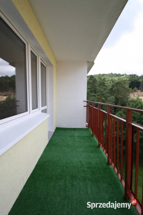 Przestronne 3 pok mieszkanie Bezpośrednio Wysoki Gdynia