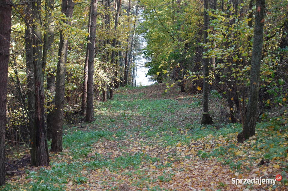 MazuryStare Juchy działki 3000m2 z dojściem do Stare Juchy sprzedam