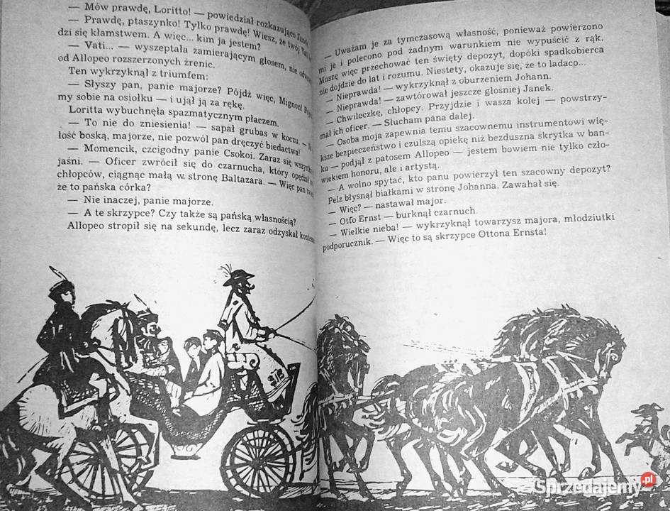 Trójkolorowa kokarda Jadwiga Chamiec Chełm