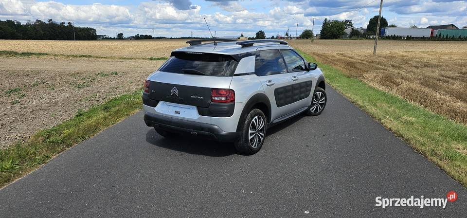 Citroen C4 Cactus manualna C4 Cactus Brześć Kujawski sprzedam