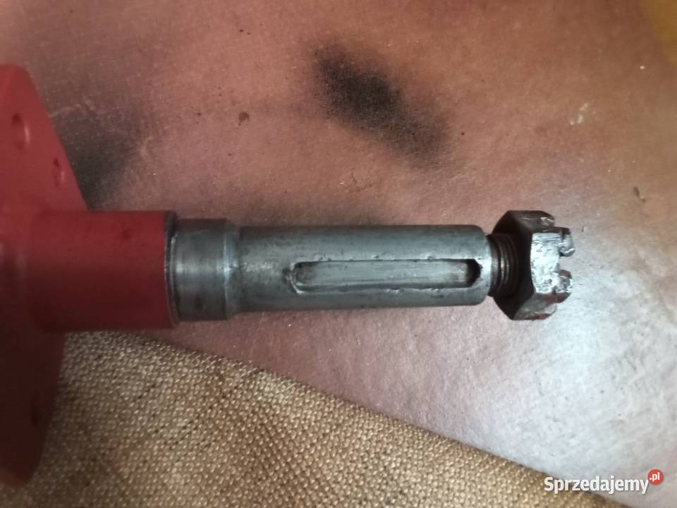 Bizon oś ślimaka Horodło