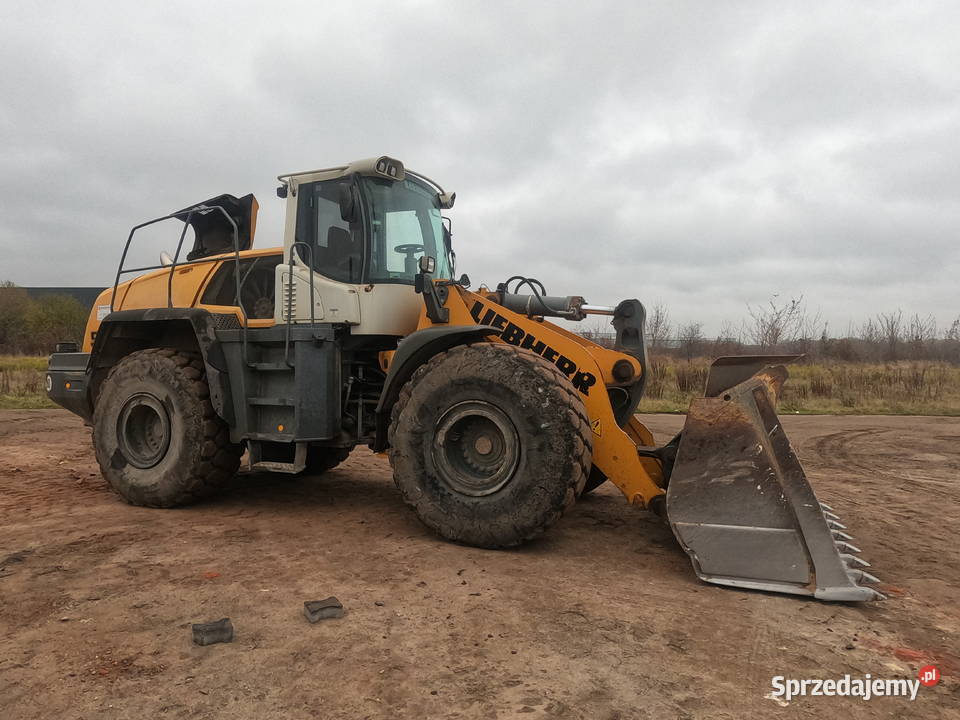 Liebherr usuwanie DPF z dojazdem do klienta