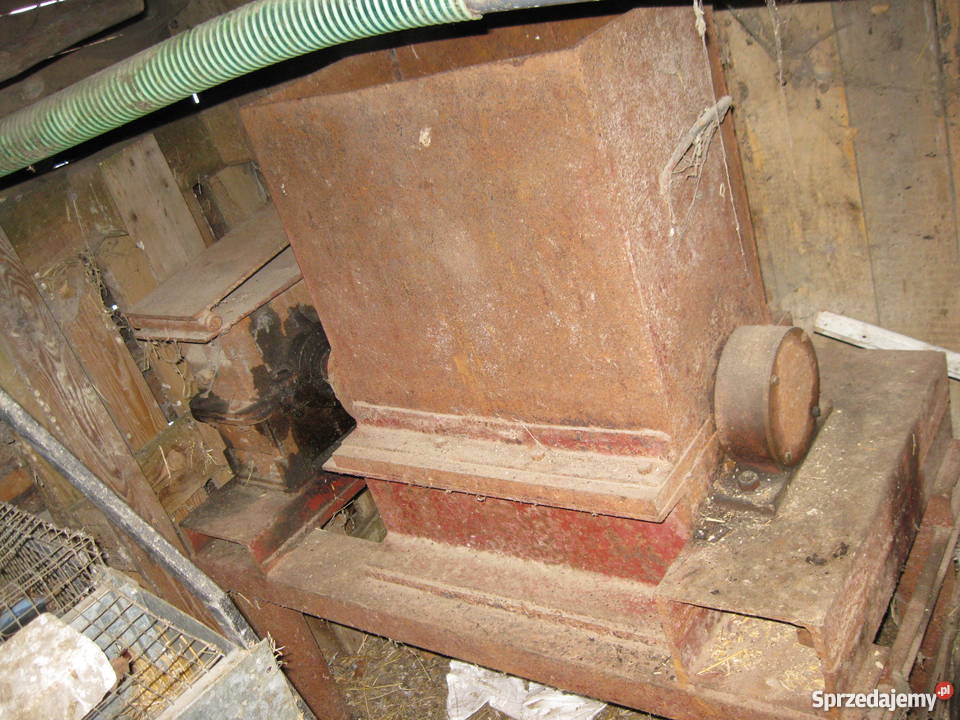 łamacz do mięsa i kości Złota