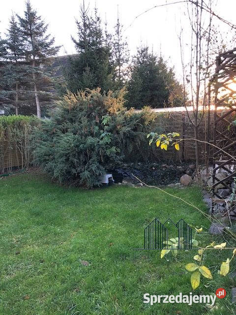 Mieszkanie Sulików 767m2 3 pokoje własność sprzedam